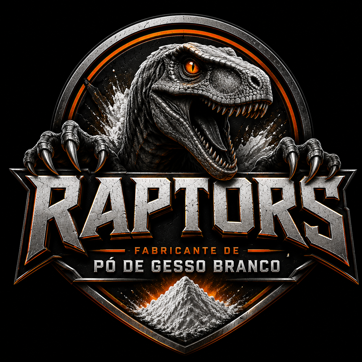 Raptors Logo